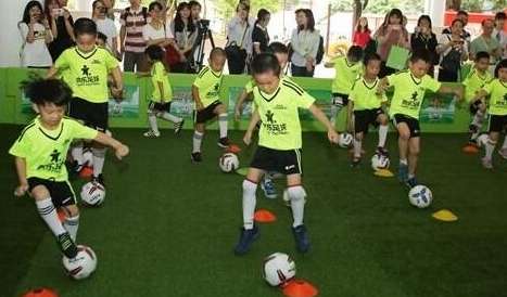 小小世界杯 2025，绿茵场上的未来梦想