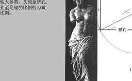黄金比例，NBA 中那些腰肩同宽的顶级锋线