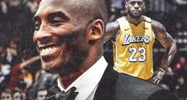 指尖上的赛场风云，NBA 资讯电话如何重塑球迷的观赛体验