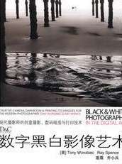 黑白世界杯 2021，在数字废墟上重建的足球乌托邦
