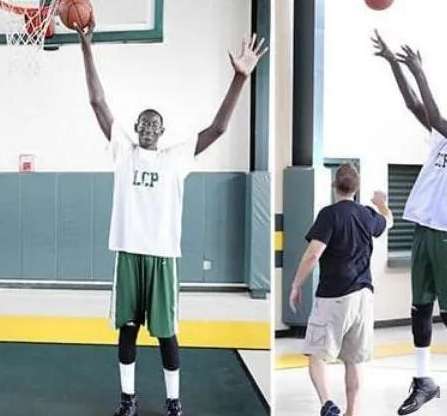 臂展定乾坤，NBA 明星球员惊人臂长图片背后的数据与传奇