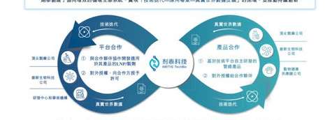 2022，双轨并行的足球狂欢——男女世界杯的荣耀与启示