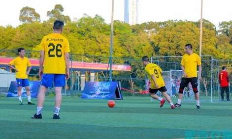 2024 深圳世界杯，全球足球盛宴与城市活力的双重奏鸣