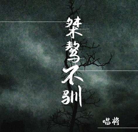 桀骜不驯的孤星，NBA 历史上那些最不听话的球员