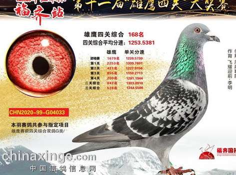 云端竞逐与归巢之光，回望信鸽世界杯 2021